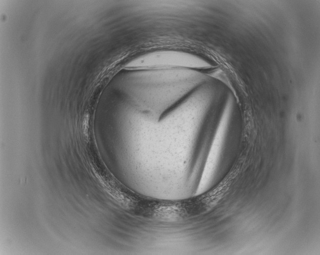 X0000058120066200510171321