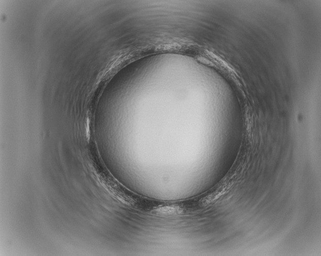 X0000058120067200510171321