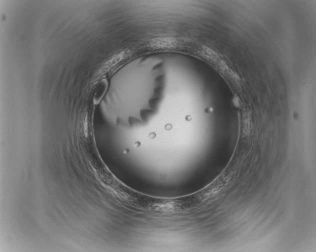 X0000058120068200510171321