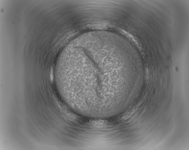 X0000058120069200510171321