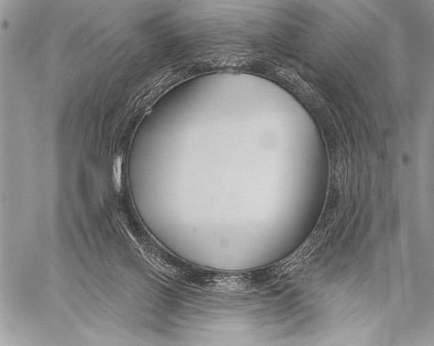 X0000058120070200510171321