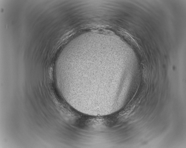 X0000058120071200510171321