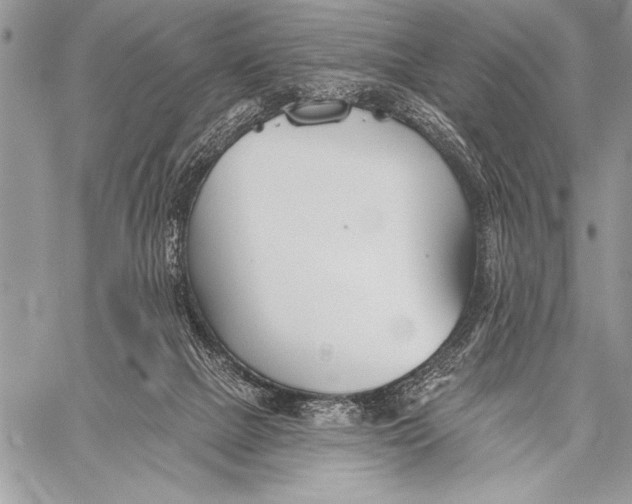 X0000058120073200510171321