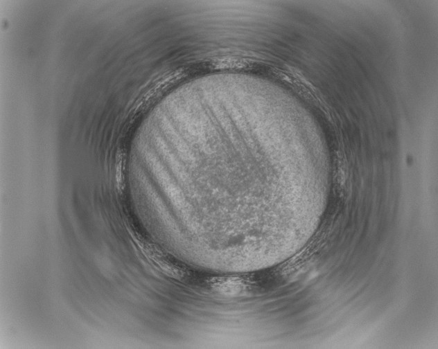 X0000058120074200510171321