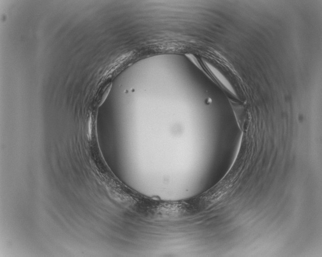 X0000058120076200510171321