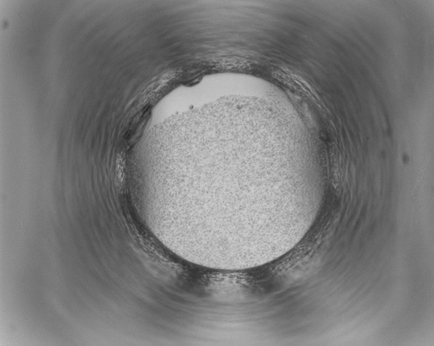 X0000058120077200510171321