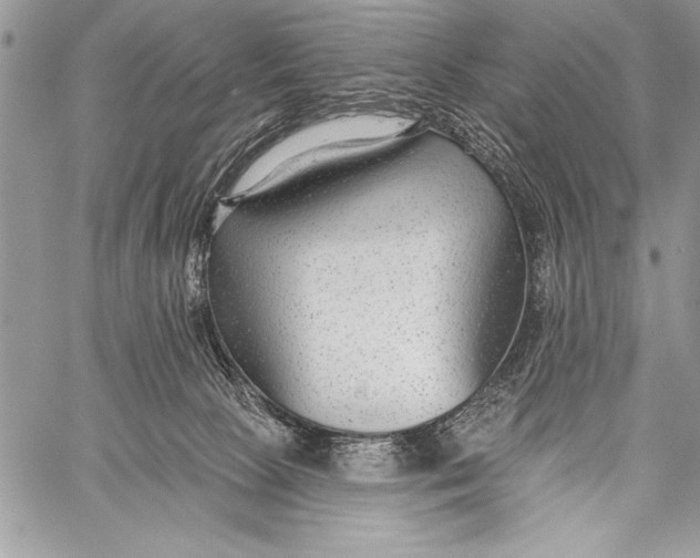 X0000058120081200510171321