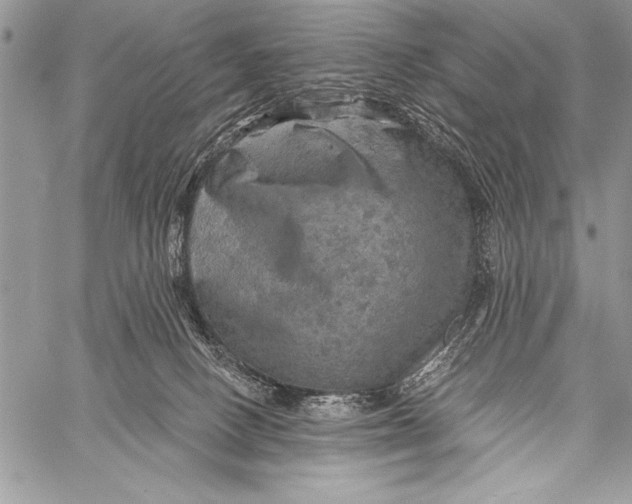 X0000058120082200510171321