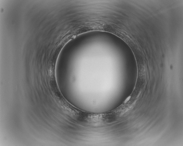 X0000058120084200510171321