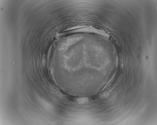 X0000058120085200510171321