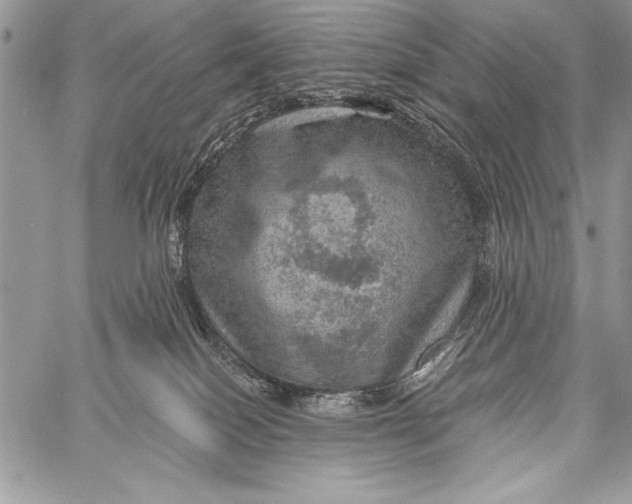 X0000058120086200510171321