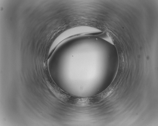 X0000058120088200510171321