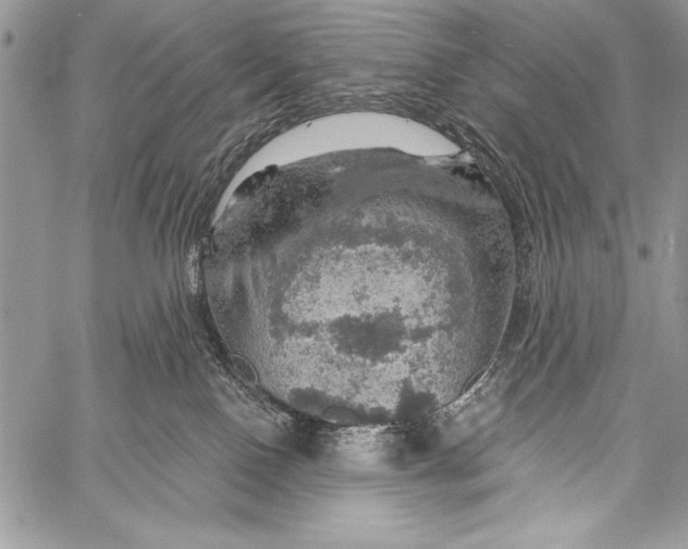 X0000058120090200510171321