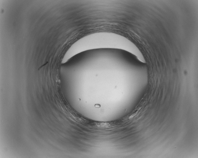 X0000058120091200510171321