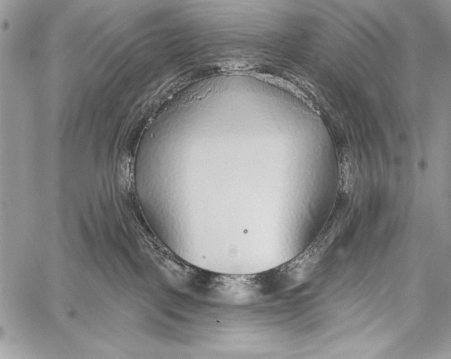 X0000058120093200510171321