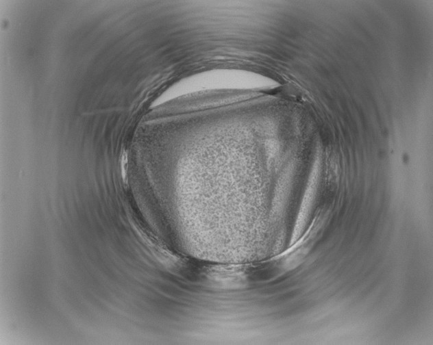 X0000058120094200510171321