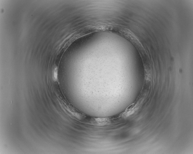 X0000058120095200510171321