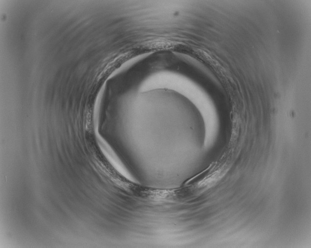 X0000058120096200510171321