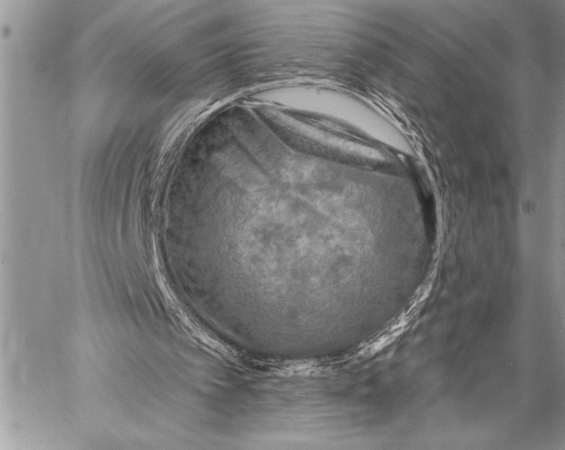 X0000058120097200510171321