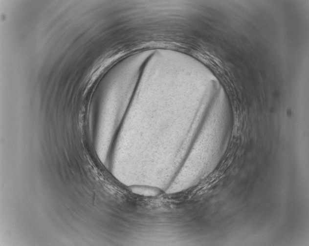 X0000058120098200510171321