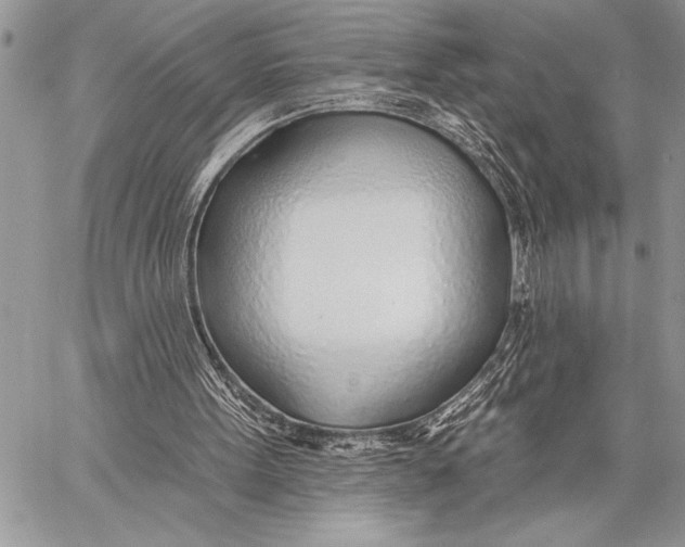 X0000058120099200510171321