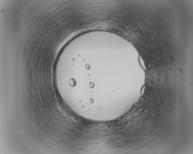 X0000058120100200510171321