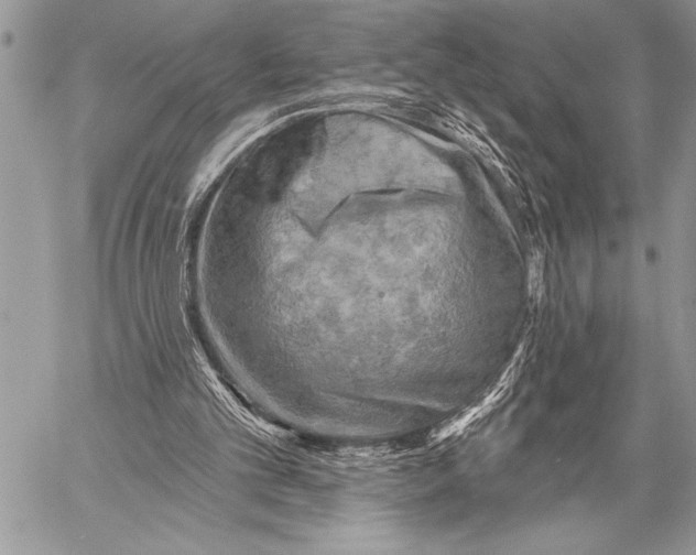 X0000058120101200510171321