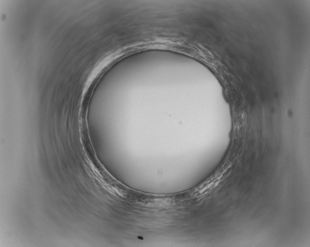 X0000058120102200510171320