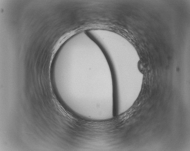 X0000058120104200510171320