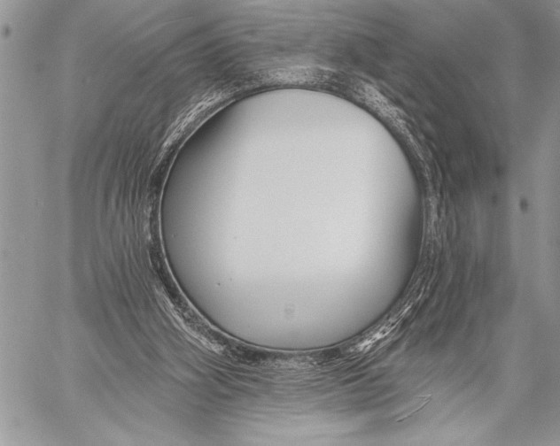 X0000058120106200510171320