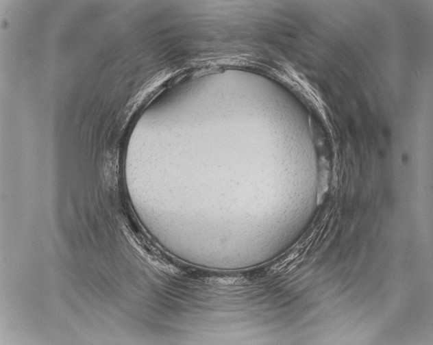 X0000058120107200510171320