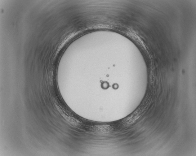 X0000058120108200510171320