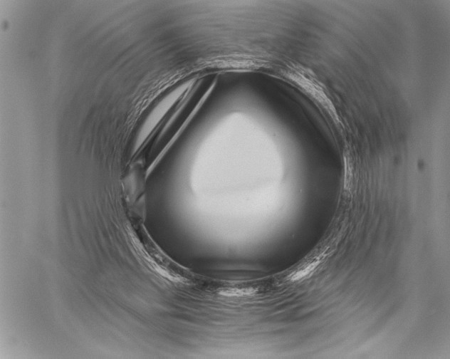 X0000058120109200510171320