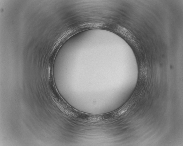 X0000058120110200510171320