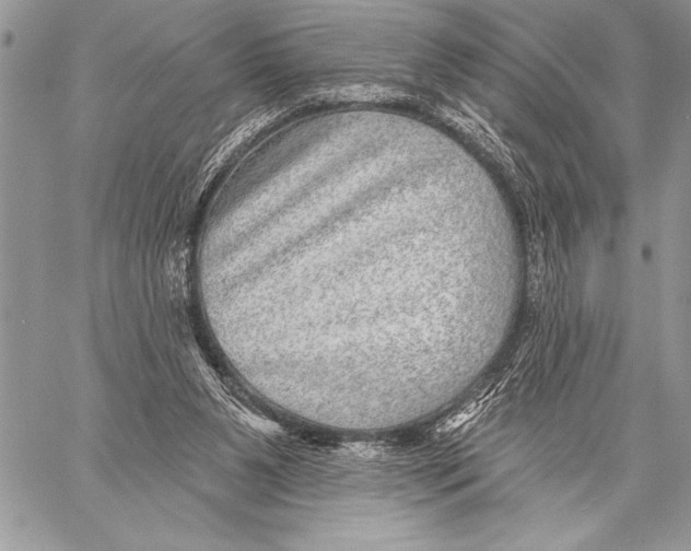 X0000058120111200510171320