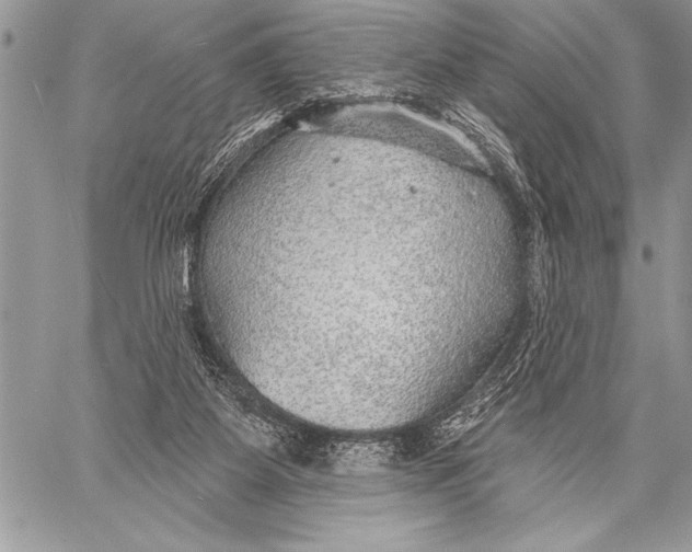 X0000058120115200510171320