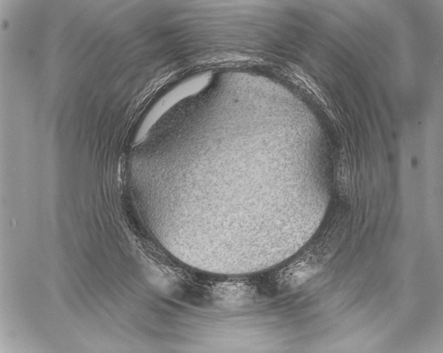 X0000058120119200510171320