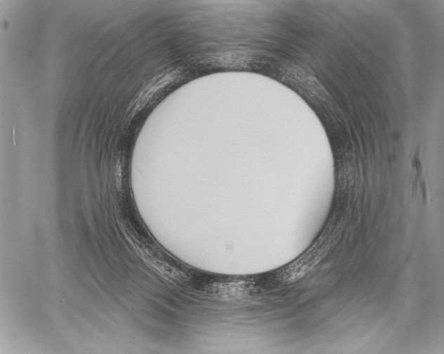 X0000058120120200510171320