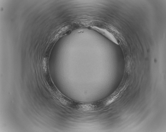 X0000058120121200510171320