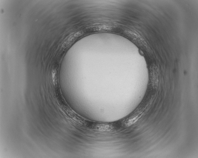 X0000058120123200510171320