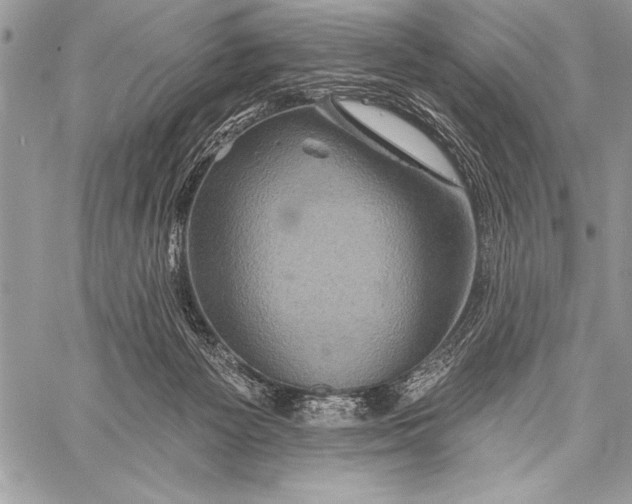 X0000058120125200510171320