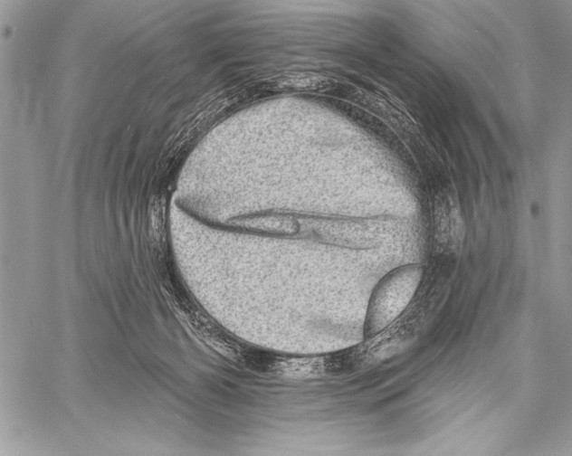 X0000058120126200510171320