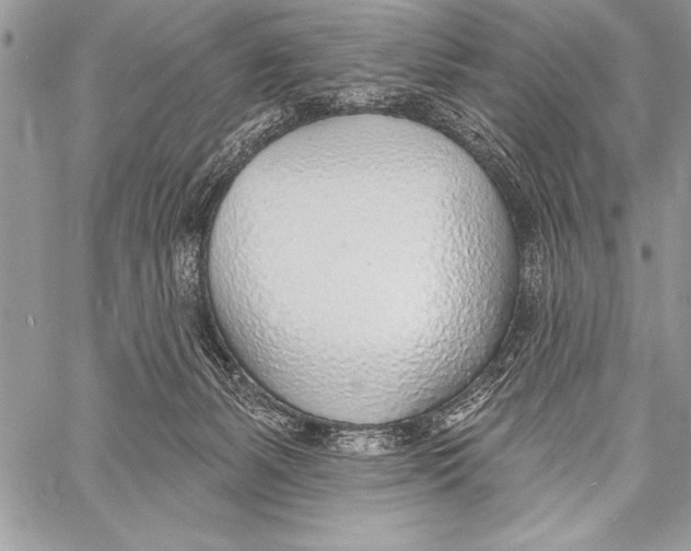 X0000058120127200510171320