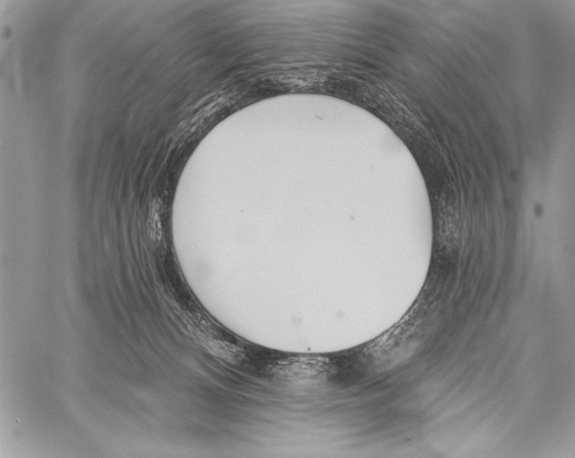 X0000058120128200510171320