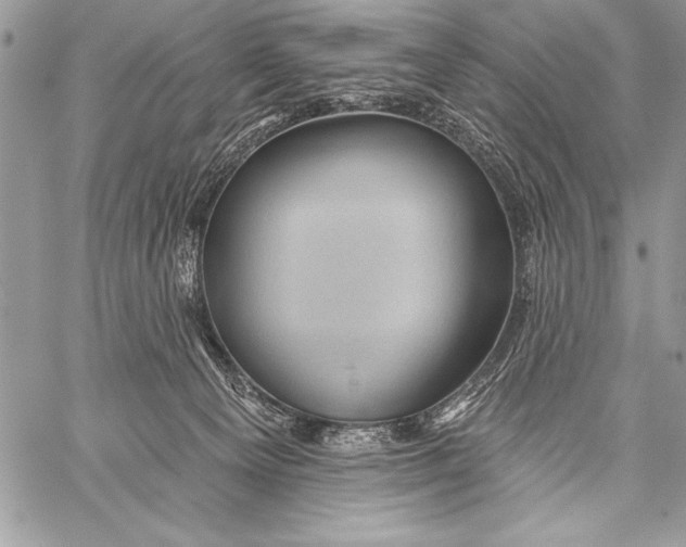 X0000058120129200510171320