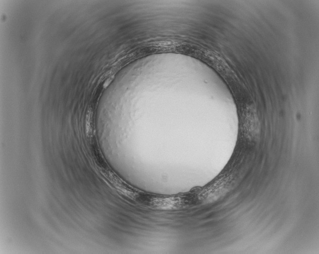 X0000058120131200510171320