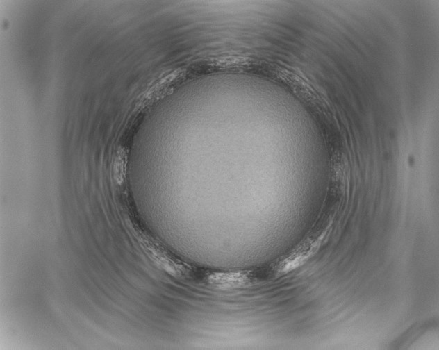 X0000058120133200510171320