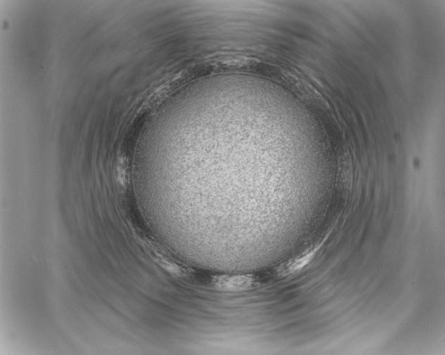 X0000058120135200510171320