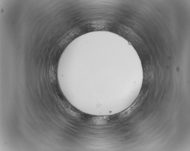 X0000058120136200510171320