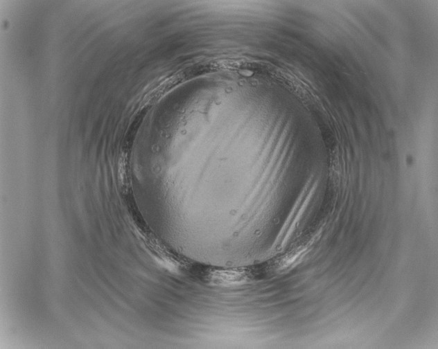 X0000058120139200510171320